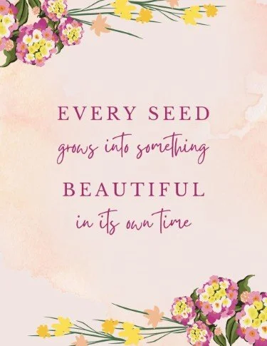 CA5140-Splash of Spring Seeds.jpg