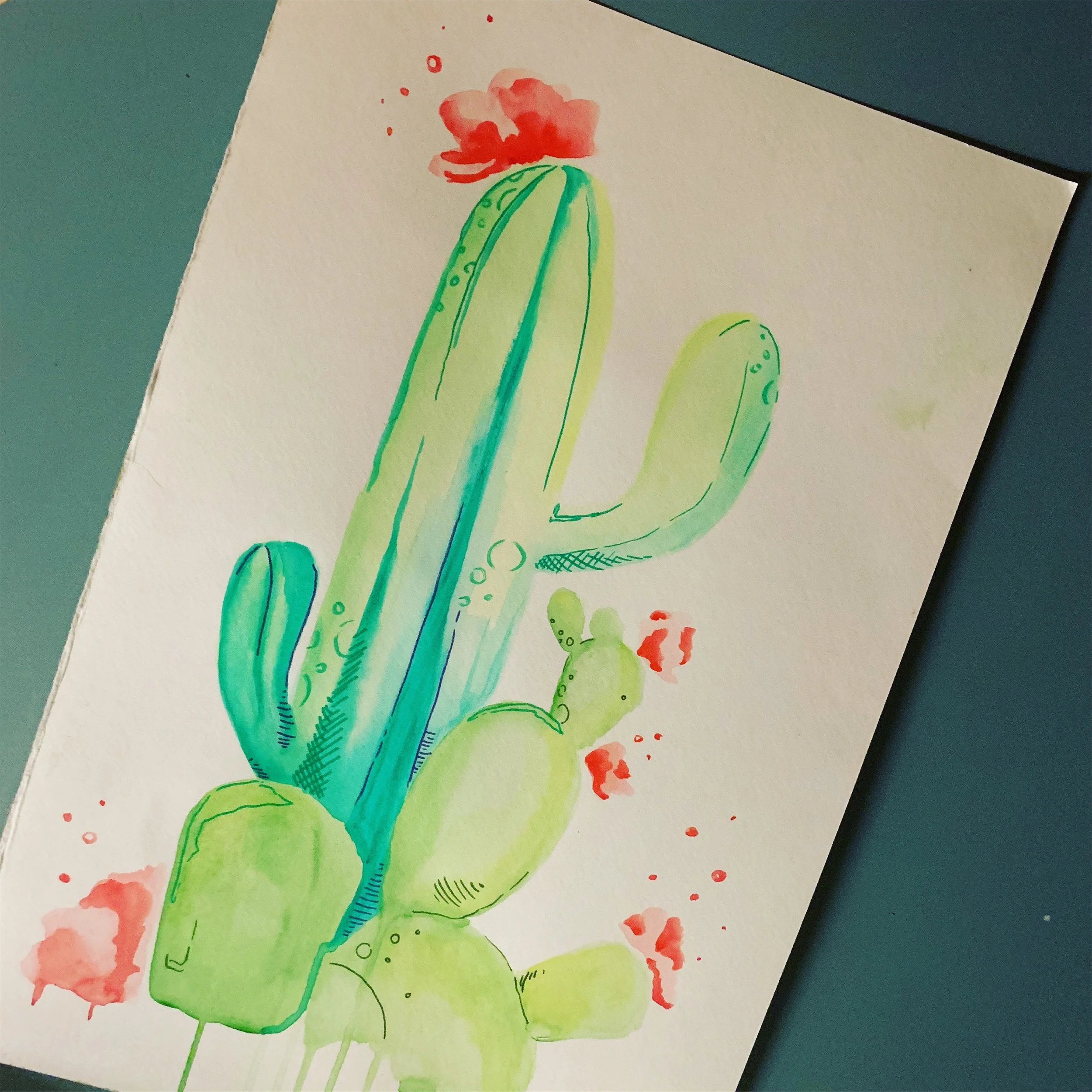 Stock Photo Watercolor Cactus 2.jpg