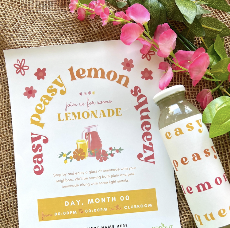 Lemonade Picnic