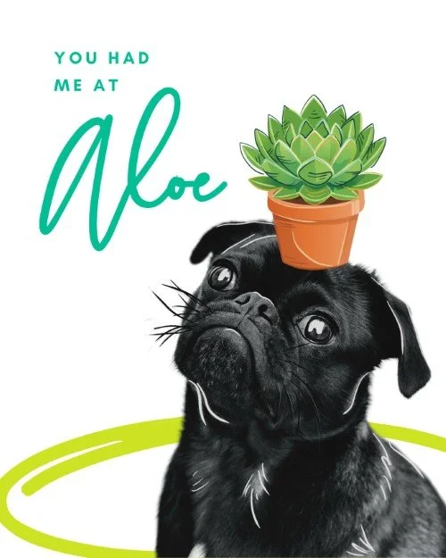 CAIG5455-Pets & Plants Had Me at Aloe.jpg