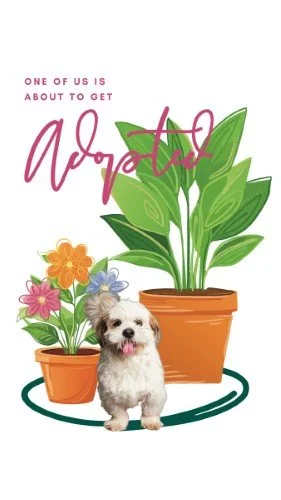 CAIGS3082-Pets & Plants Adopted.jpg