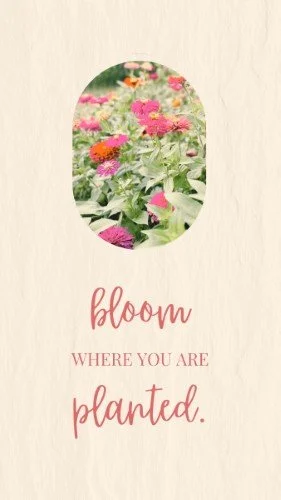 CAIGS3010-Gather & Grow Bloom Where Planted.jpg