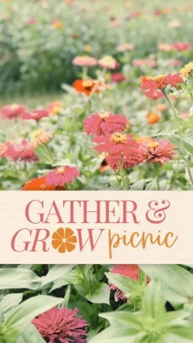 CAIGS3009-Gather & Grow Picnic Event.jpg