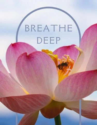 CA5641-Chair, Chi & Chill Breathe.jpg