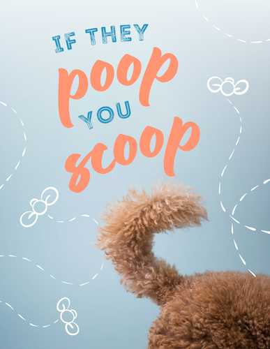 CA1806 Dog Days Scoop Poop Notice.png