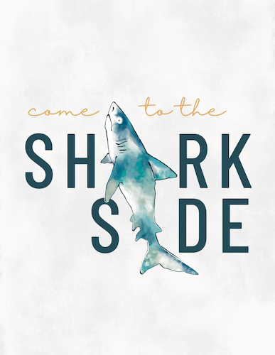 CA1816+Shark+Side.png