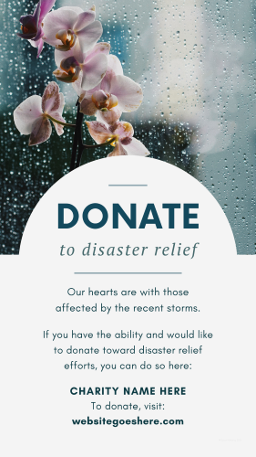 CAIGS3261-Donate+to+Disaster+Relief.png