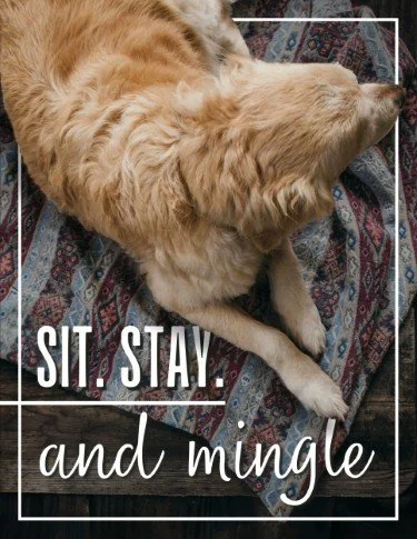 CA5782-Sit Stay Mingle Yappy Hour Sign.jpg