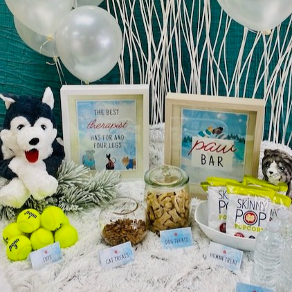 3 Ideas for a Winter “Paw Bar”