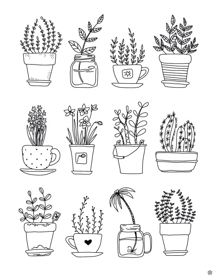 3256-Potted Plant Coloring Page.jpg