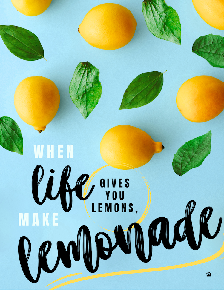 CA5803-Make Lemonade ID.png