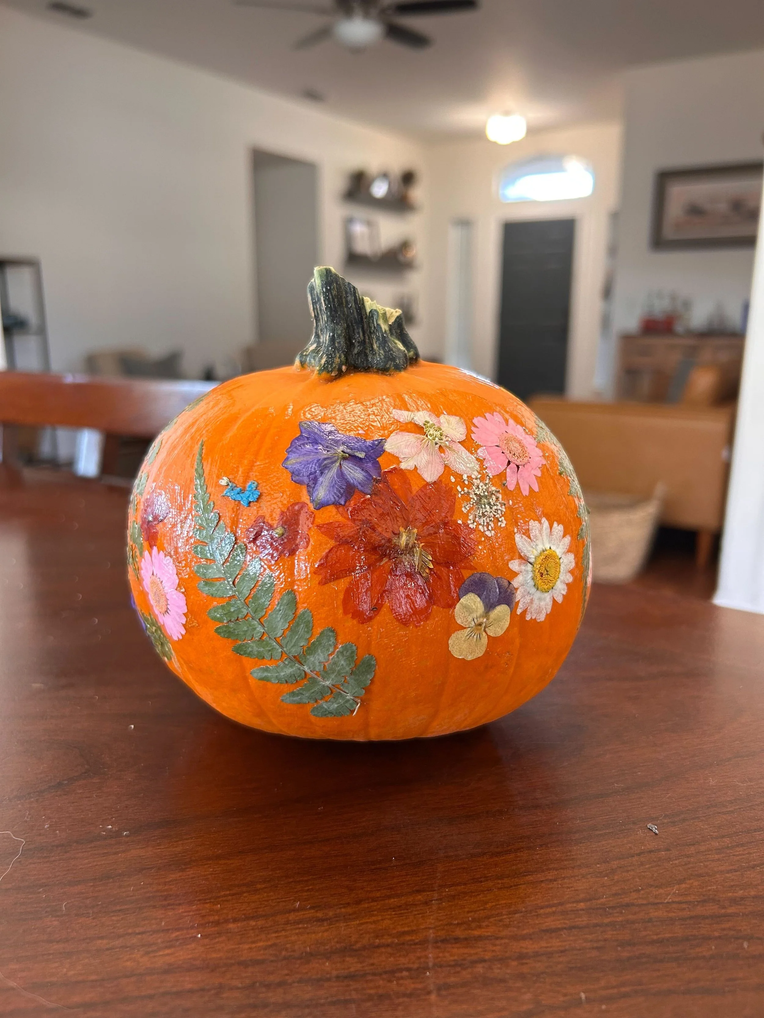 Stock Photo Painted Pumpkin (1).jpg