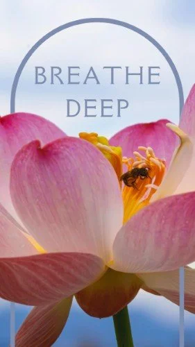 CAIGS3321-Chair, Chi & Chill Breathe.jpg