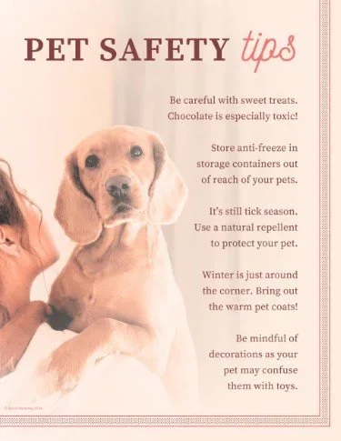 CA3893-Pet+Safety+Tips.webp
