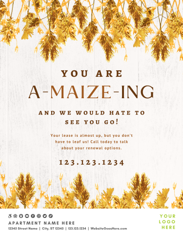 CA4452-Golden+Harvest+A-maize-ing+Renewal.webp