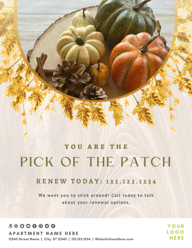 CA4453-Golden+Harvest+Renewal.webp