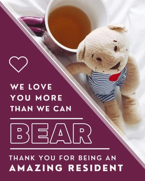CAIG6216-Teddy Love Appreciation.jpg
