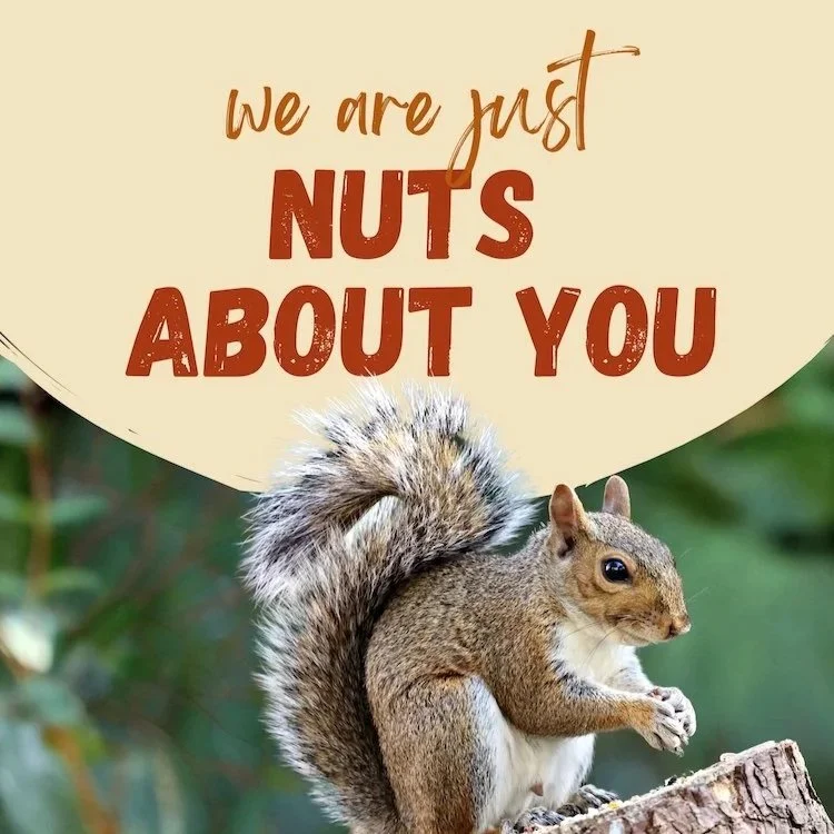 CAIG2659-Brightwall+Nuts+About+You.jpg