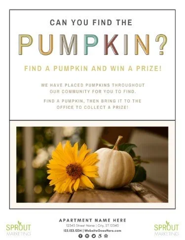 CA2916-Colorful Find the Pumpkin