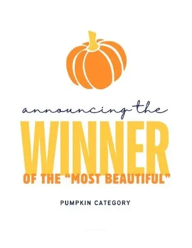CA4479-Orange+Everything+Winner+Most+Beautiful.webp