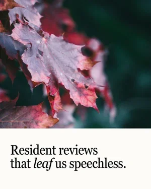 CAIG5865-Fall+Leaves+Resident+Reviews.webp