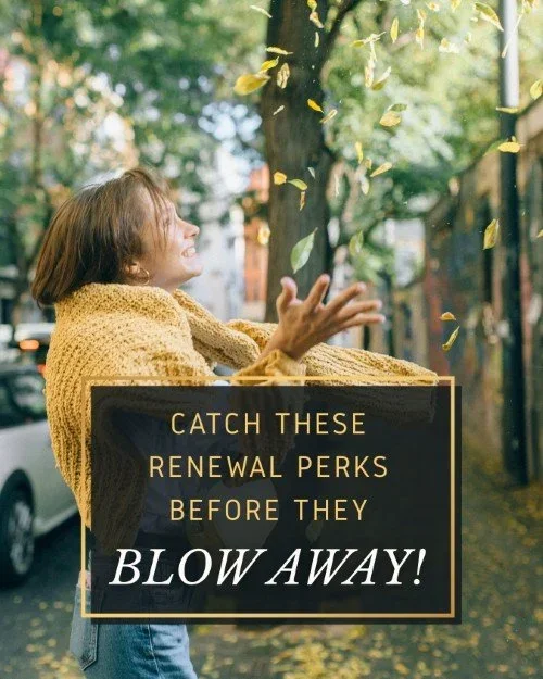 CAIG6298-Fall+Blow+Away+Renewal.webp