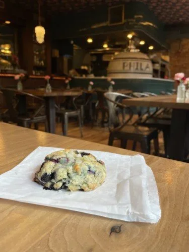 Stock+Photo+Blueberry+Cookie.webp