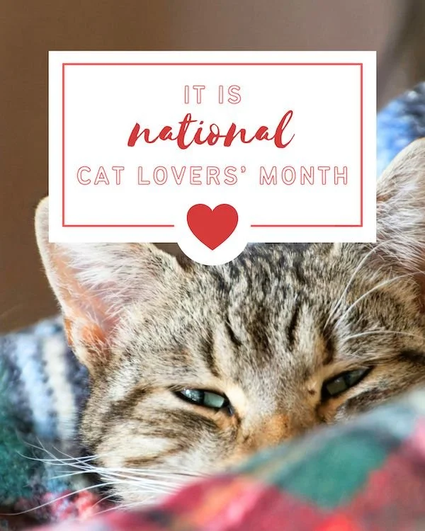 CA6106-December Cat Lover's Month.jpg