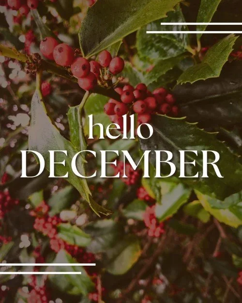 WELCOME TO DECEMBER + CYBER MONDAY