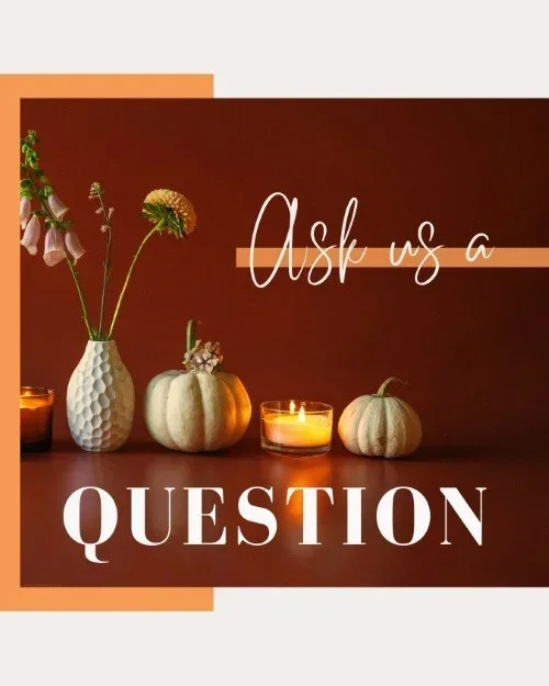 CAIG6166-Pumpkin+Ask+A+Question.webp