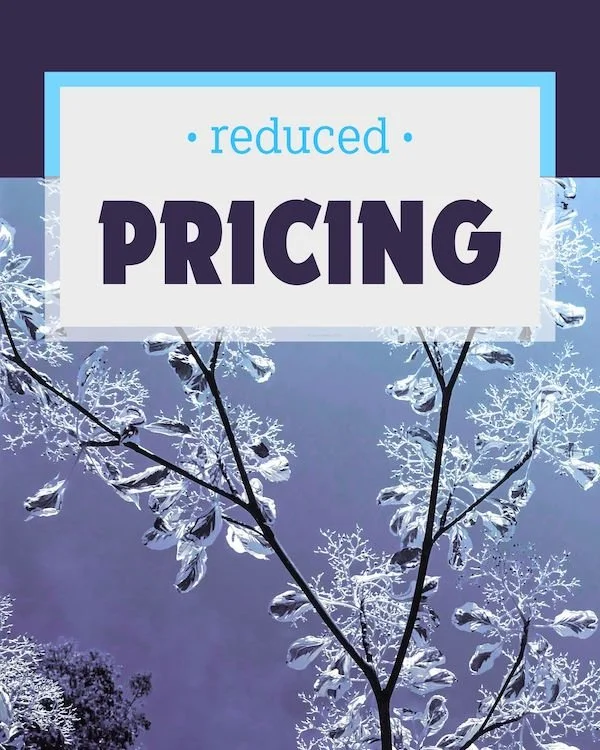 CAIG3691-Winter Snow Reduced Pricing.jpg