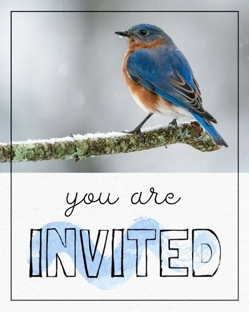 CAIG6290-Winter+Blue+Bird+Invite.webp