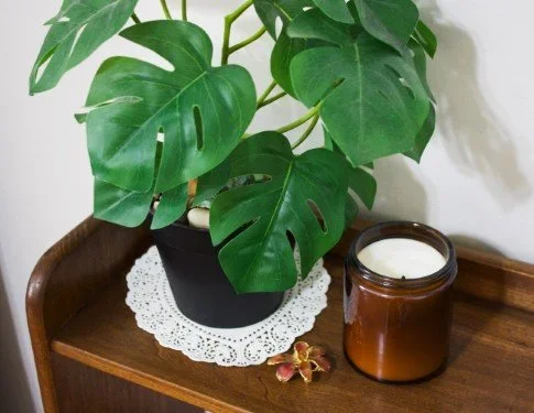 Stock+Photo+Plant+&+Candle+Horizontal.webp