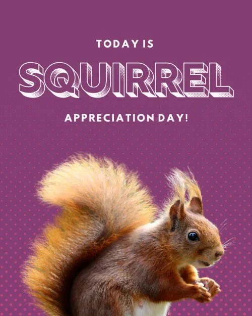 INTL SWEATPANTS DAY + SQUIRREL APPRECIATION DAY