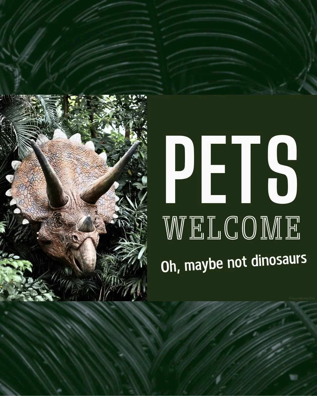 CAIG3760-Pets Welcome Dinosaur.jpg