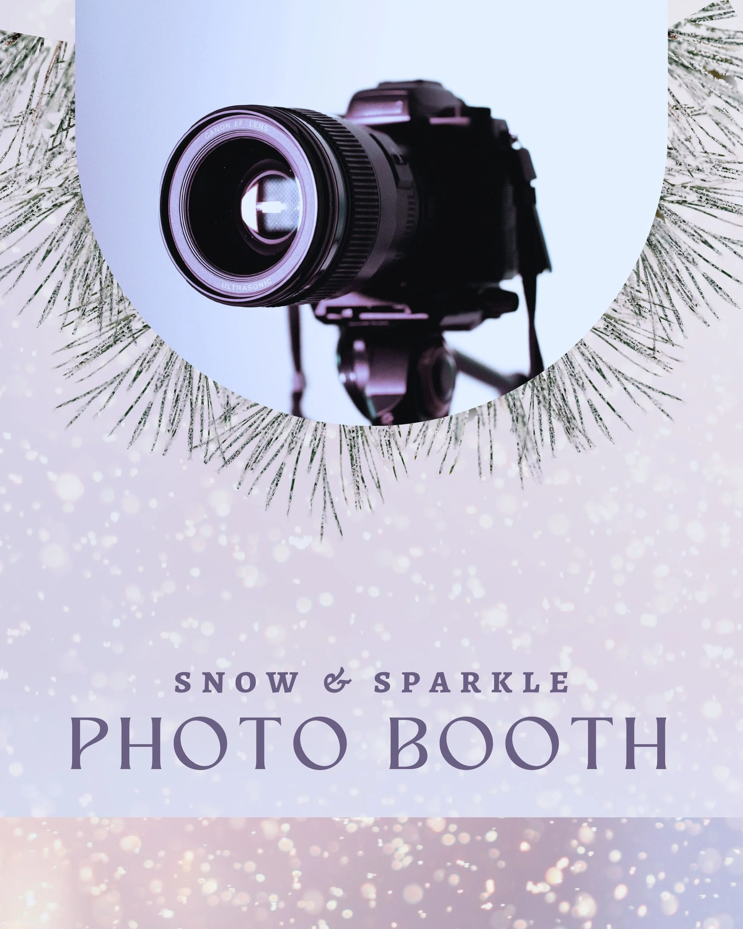 CAIG6797-Snow & Sparkle Photo Booth.jpg