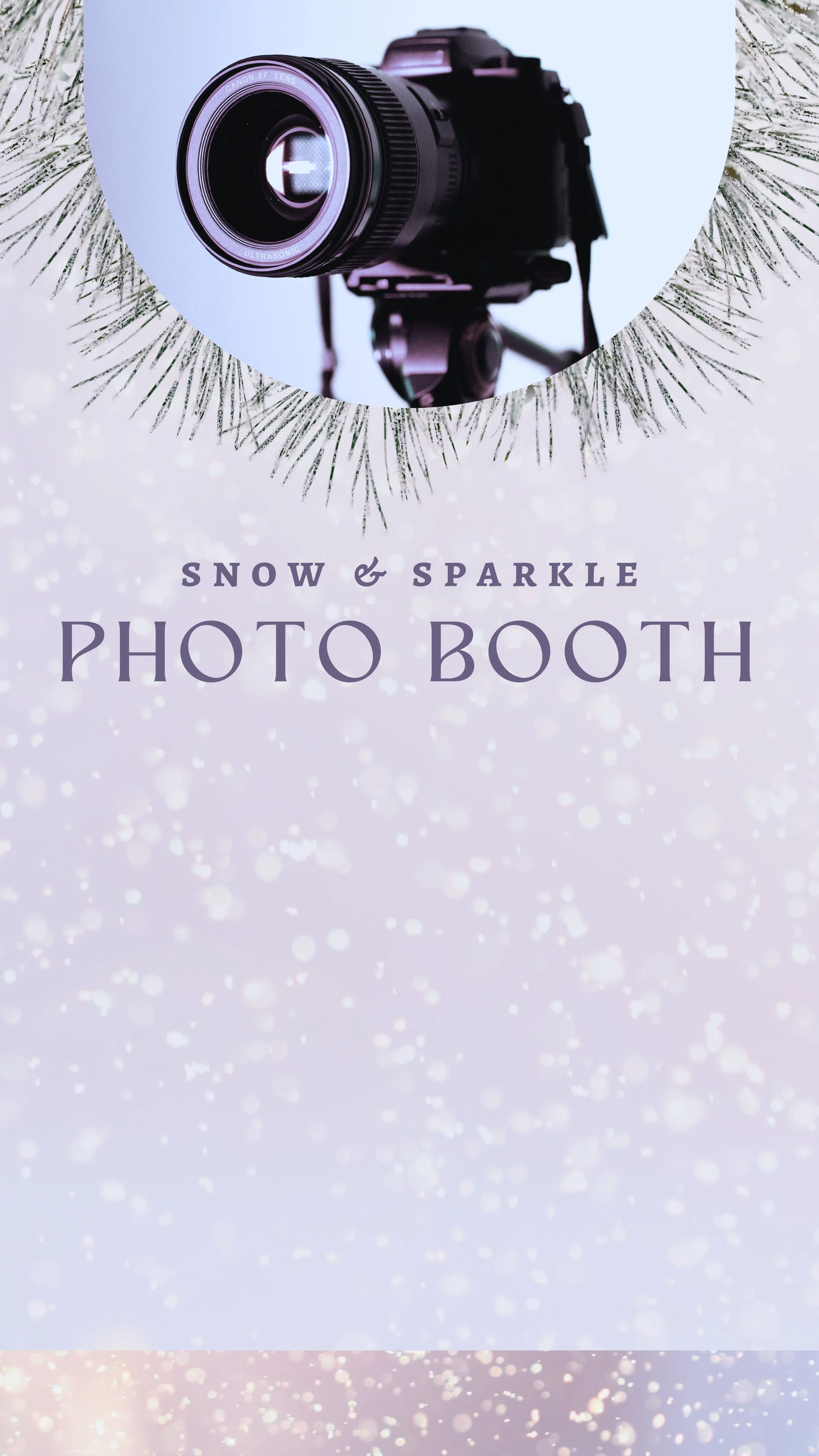 CAIGS3491-Snow & Sparkle Photo Booth.jpg