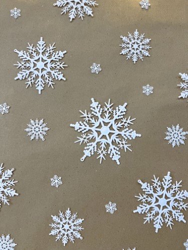 Stock Photo Smell Snow Snow Flake Backdrop (1).jpeg