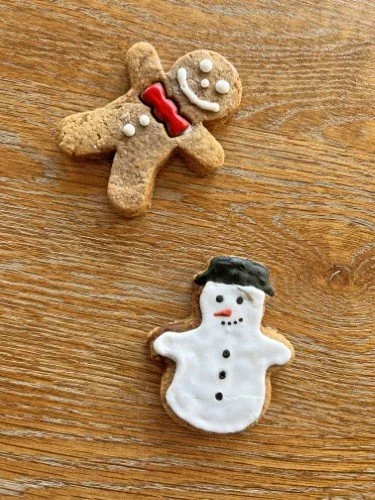Stock+Photo+Winter+Cookies+(2).webp