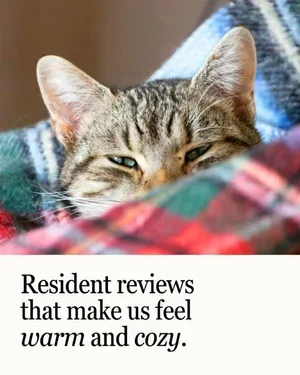 CAIG5866-Cozy+Cat+Resident+Reviews.webp