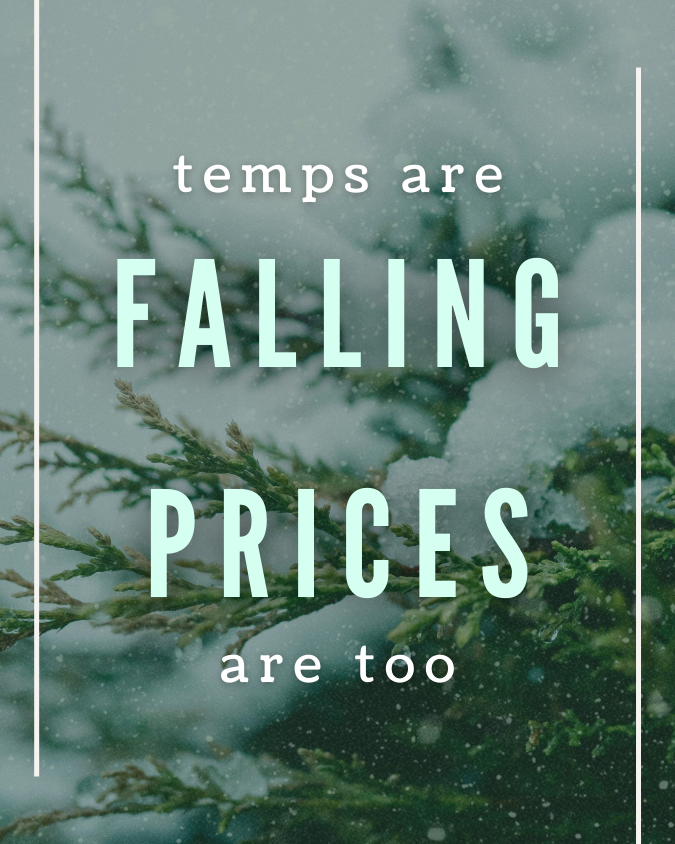CAIG Winter Special Price Drop Digital Graphic.png