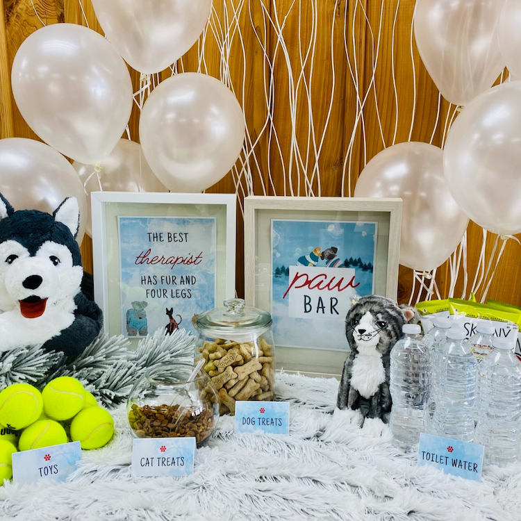 EVENTS: Pet Paw Bar &amp; 11 More January Event Ideas