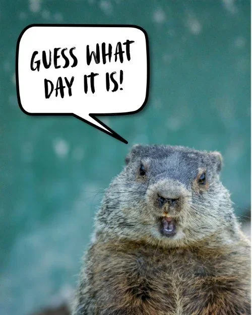 CAIG6721-February+Groundhog+Day+1.webp