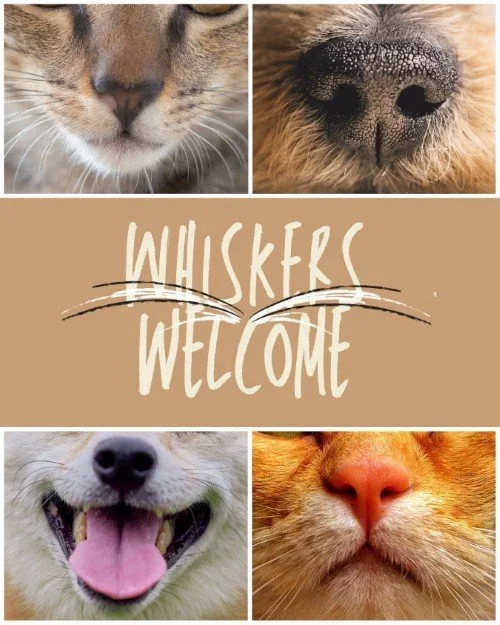 CAIG6974-Whiskers+Welcome+Outreach.webp