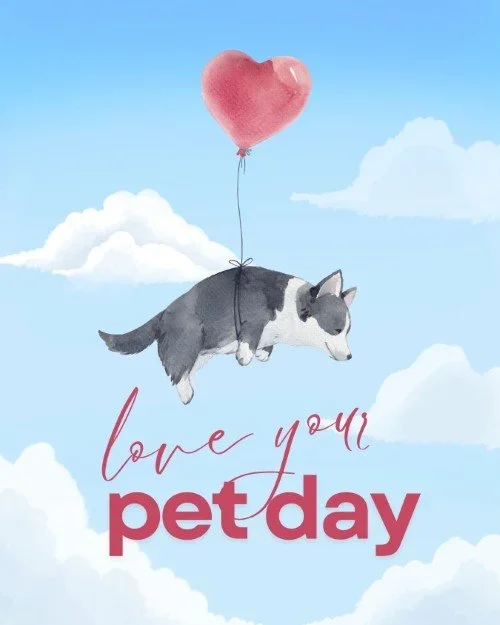 CAIG6753-February+Love+Your+Pet+Day+Dog.webp