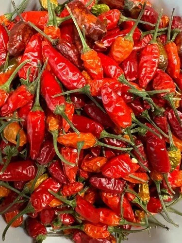 Stock+Photo+Red+Chili+Peppers.webp