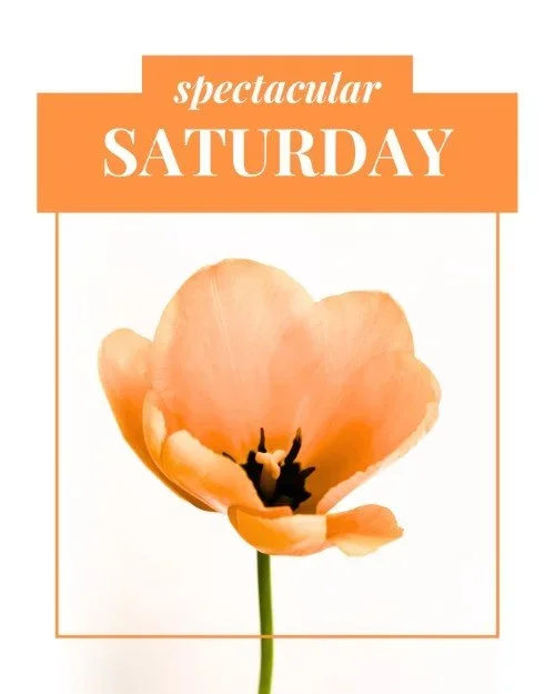 CAIG5388-Positive+Saturday+Floral.webp