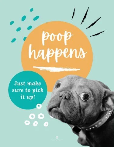 CA6290-All Pets Scoop Poop.jpg