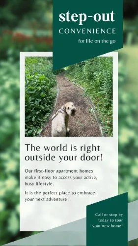 CAIGS3582-Hard To Lease-Step Out.jpg