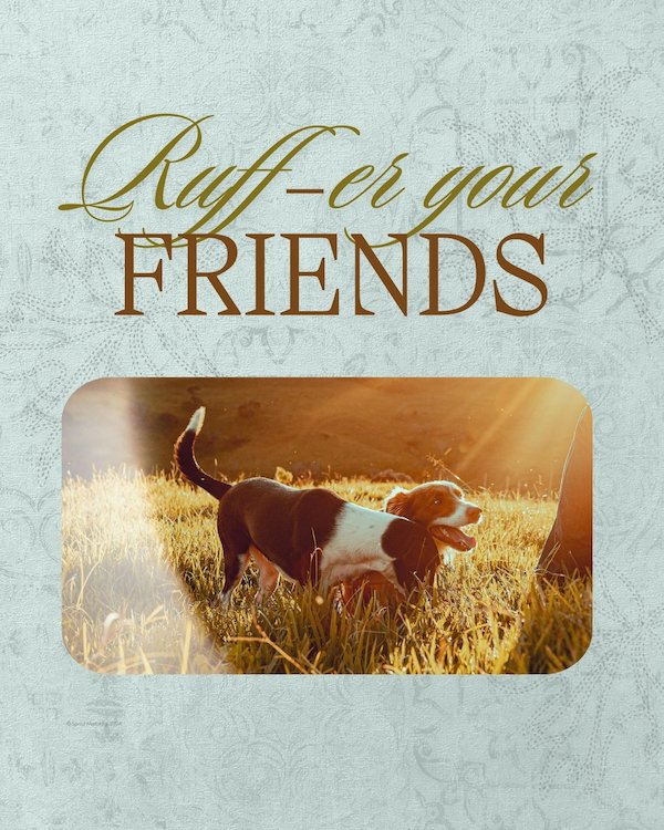 CAIG3595-Fall Pet Friendly Referral Small.jpg